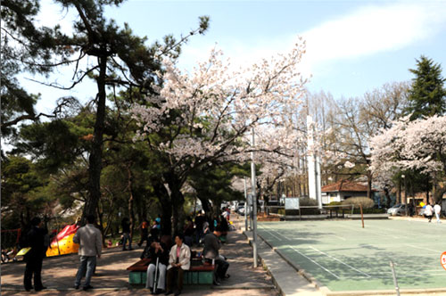 松汀公園